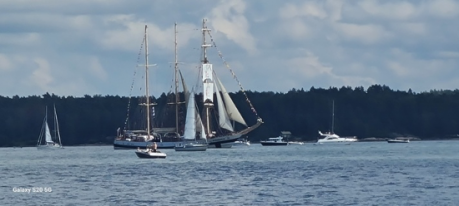 Tall ship and yachts